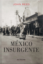 México Insurgente