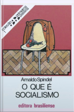 O Que É Socialismo