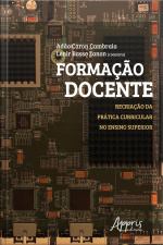 Formação Docente: Recriação Da Prática Curricular No Ensino Superior
