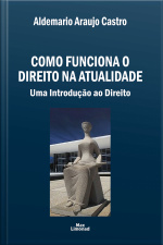 Como Funciona O Direito Na Atualidade: Uma Introdução Ao Direito