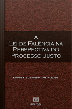 A Lei De Falência Na Perspectiva Do Processo Justo