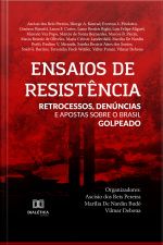 Ensaios De Resistência: Retrocessos, Denúncias E Apostas Sobre O Brasil Golpeado