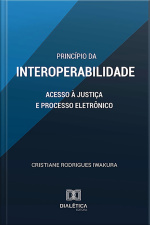 Princípio Da Interoperabilidade: Acesso À Justiça E Processo Eletrônico