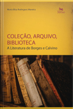 Coleção, Arquivo, Biblioteca: A Literatura De Borges E Calvino