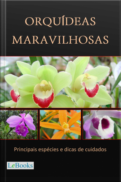 Orquídeas Maravilhosas: Principais Espécies E Dicas De Cuidados
