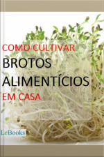 Como Cultivar Brotos Alimentícios Em Casa
