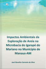 Impactos Ambientais Da Exploração De Areia Na Microbacia Do Igarapé Do Mariano : No Município De Manaus-am