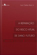 A Reparação Do Risco Atual De Dano Futuro: Ampliando O Objeto De Reparação