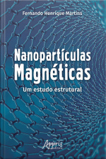 Nanopartículas Magnéticas: Um Estudo Estrutural