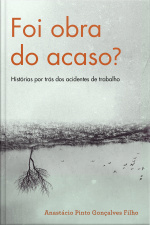 Foi Obra Do Acaso?: Histórias Por Trás Dos Acidentes De Trabalho