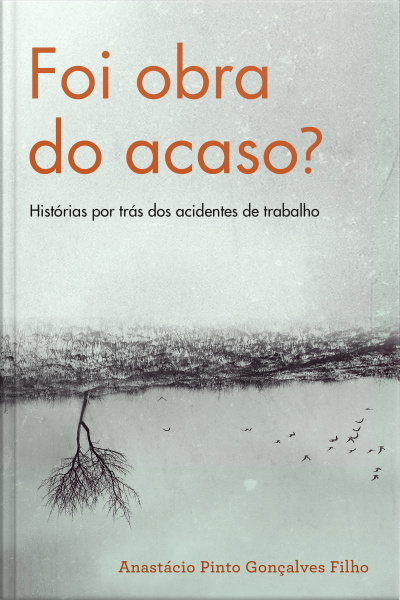 Foi Obra Do Acaso?: Histórias Por Trás Dos Acidentes De Trabalho