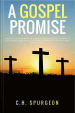 A Gospel Promisse