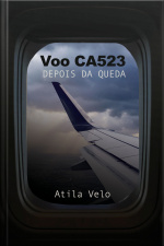 Voo Ca523: Depois Da Queda