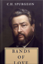 Bands Of Love