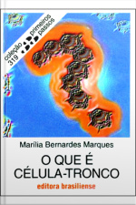 O Que É Célula-tronco