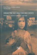 Desastre No Vale Do Rio Doce: Antecedentes, Impactos E Ações Sobre A Destruição