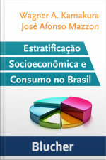 Estratificação Socioeconômica E Consumo No Brasil