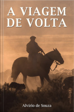 A Viagem De Volta