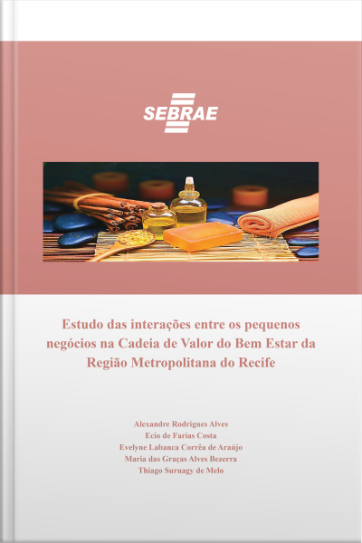Estudo Das Interações Entre Os Pequenos Negócios Na Cadeia De Valor Do Bem Estar Da Região Metropolitana Do Recife