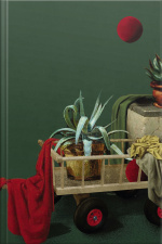 Onde Você Vai Encontrar Um Outro Pai Como O Meu