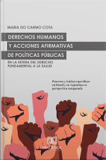 Derechos Humanos Y Acciones Afirmativas De Políticas Públicas En La Esfera Del Derecho Fundamental A La Salud: Procesos Y Tutelas Específicas En Brasil Y En Argentina En Perspectiva Comparada