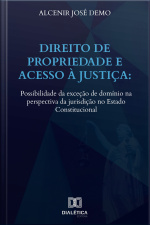 Direito De Propriedade E Acesso À Justiça: Possibilidade Da Exceção De Domínio Na Perspectiva Da Jurisdição No Estado Constitucional