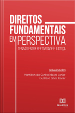 Direitos Fundamentais Em Perspectiva: Tensão Entre Efetividade E Justiça