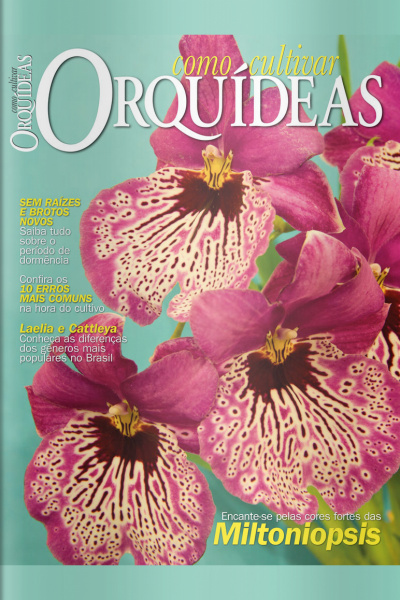 Como Cultivar Orquídeas