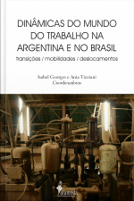 Dinâmicas Do Mundo Do Trabalho Na Argentina E No Brasil: Transições, Mobilidades, Deslocamentos