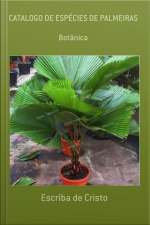 Catálogo De Espécie De Palmeiras