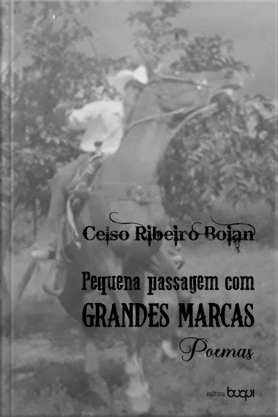 Pequena Passagem Com Grandes Marcas: Poemas