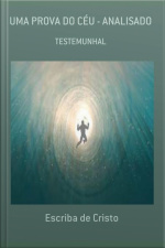 Uma Prova Do Céu Analisado: Espiritualidade