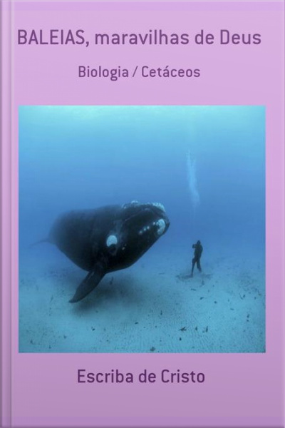 Baleias - Maravilhas De Deus