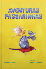 Aventuras Passarinhas