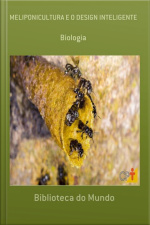 Meliponicultura E O Design Inteligente: Meliponicultura