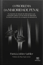 O Problema Da Maioridade Penal: As Propostas De Redução Da Idade Penal E Suas Implicações Político-criminais Diante Da Efetividade Do Sistema Prisional E Da Concepção De Adolescência