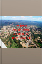 Breve Estudo Sobre A Cidade De Bom Jesus Pi: Bom Jesus Pi