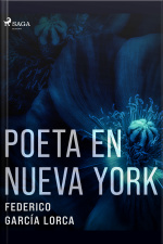 Poeta En Nueva York