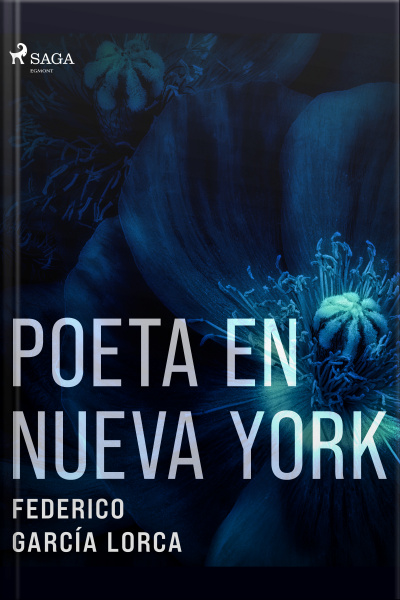Poeta En Nueva York