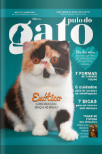 Pulo do Gato - Exótico - 01/05/2019