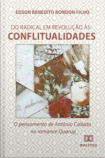 Do Radical Em Revolução Às Conflitualidades: O Pensamento De Antônio Callado No Romance Quarup