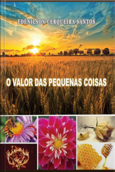 Valor Das Pequenas Coisas