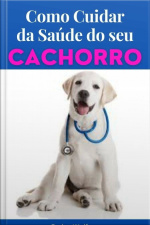 Como Cuidar Da Saúde Do Seu Cachorro