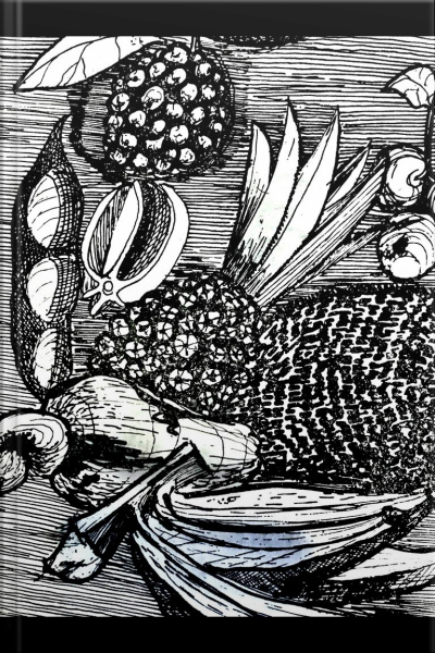 Romanceiro Goiano: Poemas