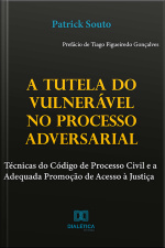 A Tutela Do Vulnerável No Processo Adversarial: Técnicas Do Código De Processo Civil E A Adequada Promoção De Acesso À Justiça