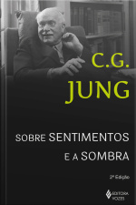 Sobre Sentimentos E A Sombra: Sessões De Perguntas Em Zurique