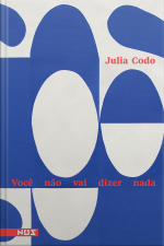 Você Não Vai Dizer Nada