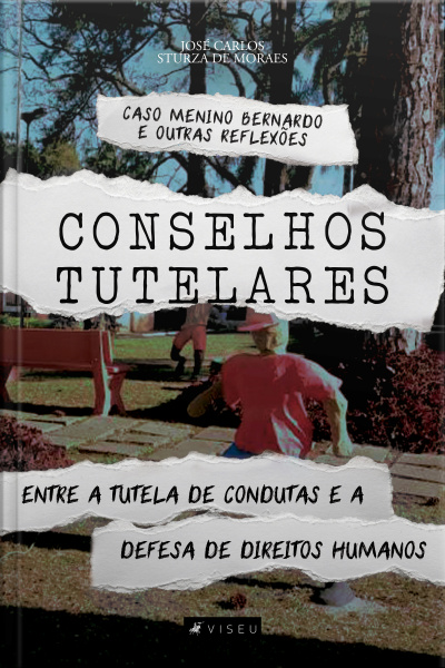 Conselhos Tutelares: Entre A Tutela De Condutas E A Defesa De Direitos Humanos - Caso Menino Bernardo E Outras Reflexões