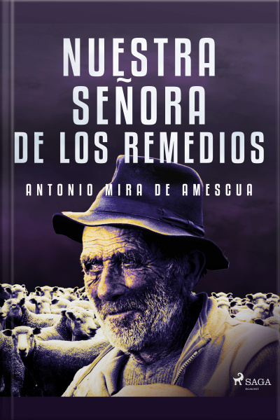 Nuestra Señora De Los Remedios