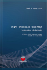 Penas E Medidas De Segurança: Fundamentos E Individualização - 4ª Edição